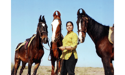 महिला घुड़सवार के घुड़साल से  निकल रहे मारवाड़ी नस्ल के उम्दा घोड़े