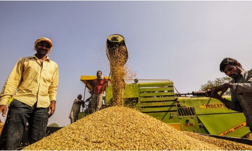 Indias foodgrain estimates go up; pulse imports slower on higher production