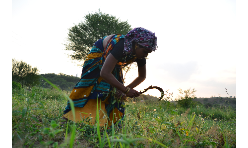 महिला किसानों के काम आसान करेंगे ये कृषि उपकरण