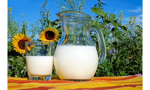 क्या वाकई A1 और A2 दूध की पौष्टिकता में कोई अंतर है