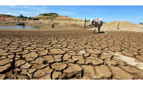 भारत में जलवायु परिवर्तन: सूखा, बाढ़ और बर्बाद होती खेती की भयानक तस्वीर
