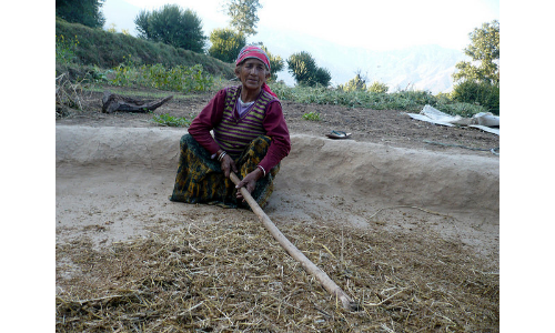 उत्तराखंड की हेंवलघाटी में बीज बचाने में जुटी हैं महिलाएं