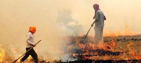 रिसर्च : दिल्ली ही नहीं देश भर में फैल रहा है हरियाणा व पंजाब के पराली का प्रदूषण