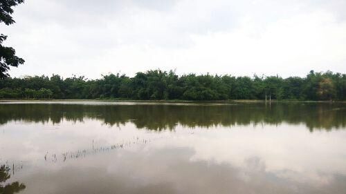 असम में बाढ़ से हालात और बिगड़े, फसलों और सब्जियों को भारी नुकसान