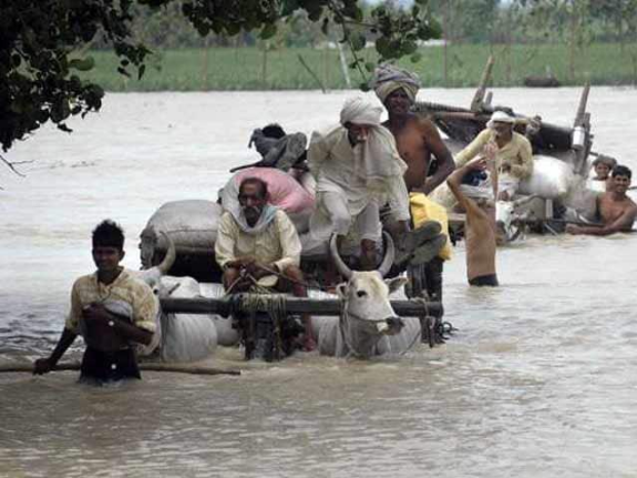 मोदी सरकार ने बाढ़ से फसल की बर्बादी पर प्रति हेक्टेयर राहत राशि डेढ़ गुना की- राधामोहन सिंह