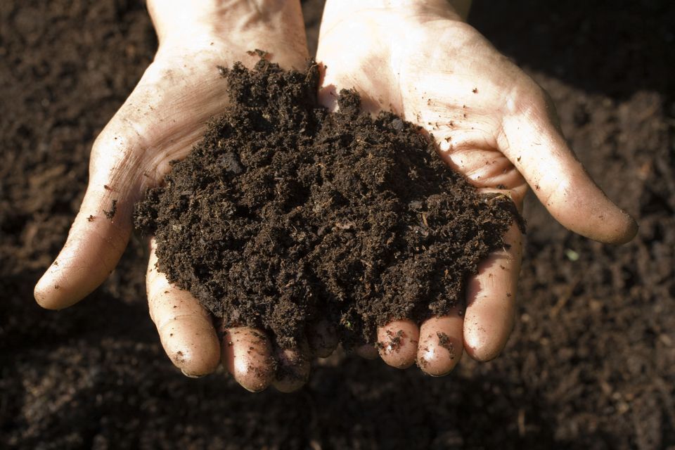 खेतों में ह्यूमिक एसिड के प्रयोग से बढ़ा सकते हैं मिट्टी की सेहत 