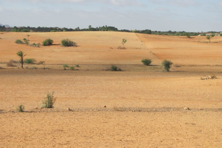 Land Degradation Increased: How To Deal With It?
