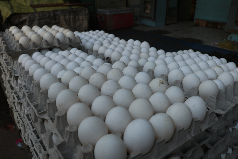 विश्व अंडा दिवस: यूपी में सबसे ज्यादा अंडों का उत्पादन करता है गोरखपुर