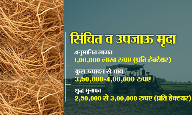 खस की खेती: साल में 60-65 हजार रुपए की लागत से प्रति एकड़ हो सकती है डेेढ़ लाख तक की कमाई