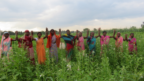 नक्सली और दुर्गम इलाकों में महिलाओं की ताकत बन रहे स्वयं सहायता समूह
