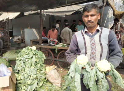 मंडियों में एक से 2 रुपए पीस बिक रही गोभी, हरी सब्जियों के थोक में रेट गिरे