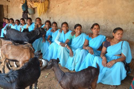 Jharkhand Women Become Pashu Sakhis, Treat Goats