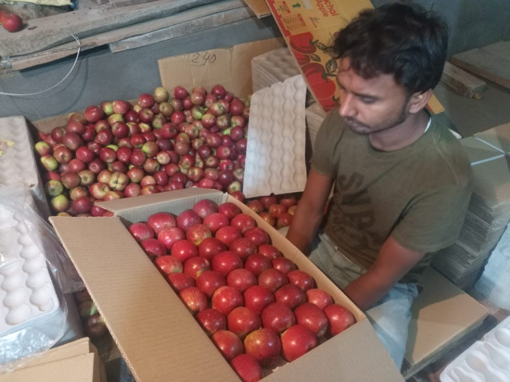 apple production, apple production in jammu and kashmir, apple production in himachal pradesh, apple price hike