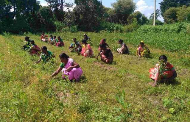 These women have acquired the skill of Organic Farming, no longer  need to buy pesticides