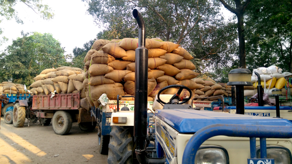 उत्‍तर प्रदेश: धान बेचने की लड़ाई लड़ रहे किसान, मिलर्स ने बढ़ाई परेशानी