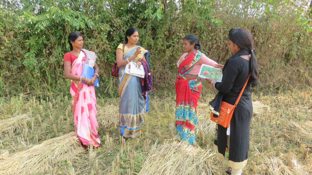 ग्रामीण महिलाएं सलाहकार बनकर सिखा रहीं बेहतर खेती का तरीका