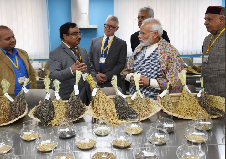मोदी ने काशी में अंतरराष्ट्रीय चावल अनुसंधान केंद्र का किया उद्घाटन
