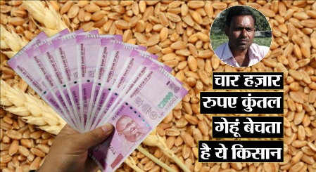 चार हजार रुपए कुंतल गेहूं बेचता है ये किसान, Facebook और WhatsApp के जरिए करता है बिक्री