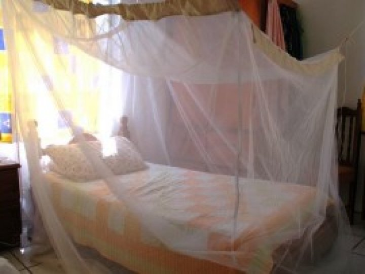 मलेरिया से बचाएगी ये मच्छरदानी, 62 लाख लोगों को मुफ्त में दी जाएगी