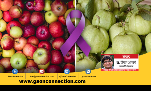 कैंसर नियंत्रण में कारगर हो सकते हैं सेब और अमरूद