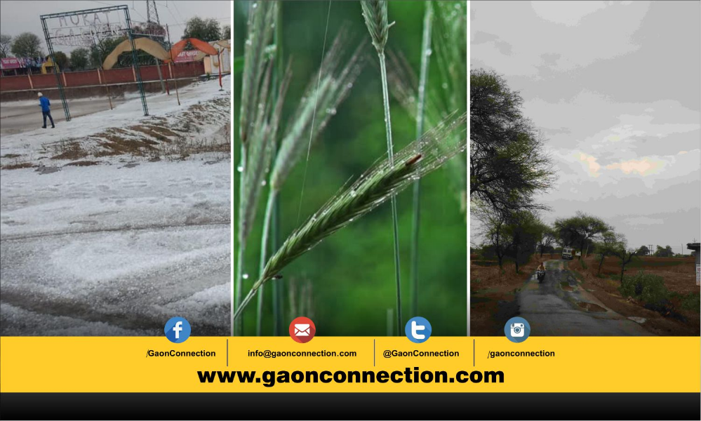 किसानों के लिए भारी पड़ सकता है 14 और 15 फरवरी, उत्तर भारत में बारिश और ओलावृष्टि की संभावना
