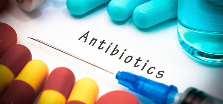 एंटीबायोटिक का गलत इस्तेमाल करने पर बैक्टीरिया रसिस्टेंट हो जाते हैं। साभार- deitdoctor.com