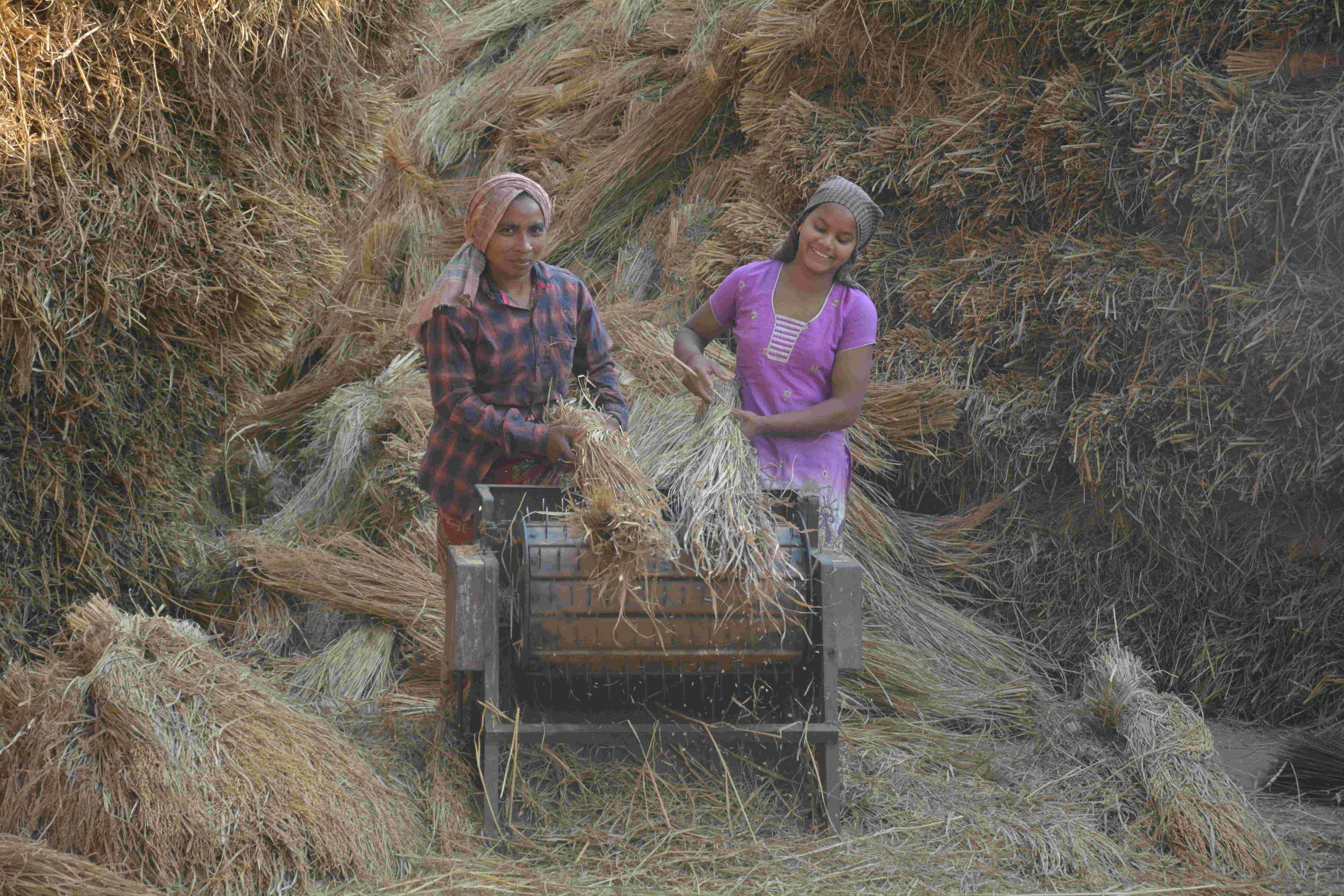 महिलाएं सिर्फ घर ही नहीं, भारत की जीडीपी में सबसे ज्यादा योगदान देने वाली कृषि क्षेत्र की धुरी भी हैं