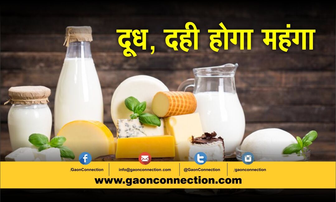 डेयरी किसानों के लिए खुशखबरी: जून तक 2 रुपए प्रति लीटर बढ़ सकते हैं दूध के दाम