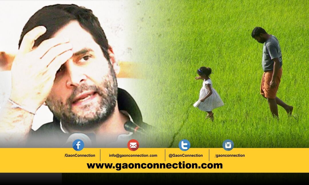 राहुल गांधी जिस वायनाड से लड़ रहे हैं चुनाव, वहां के किसानों का हाल जान हैरान रह जाएंगे आप