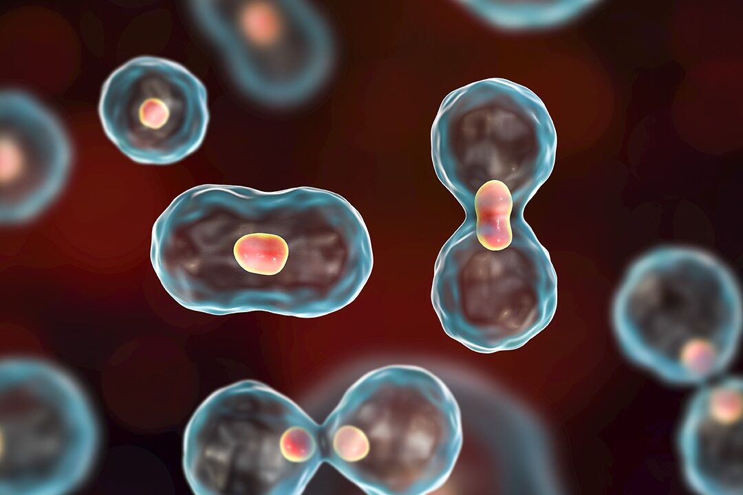 16 मईः आज ही के दिन वैज्ञानिकों को मिली थी क्लोन भ्रूण से स्टेम सेल निकालने में सफलता