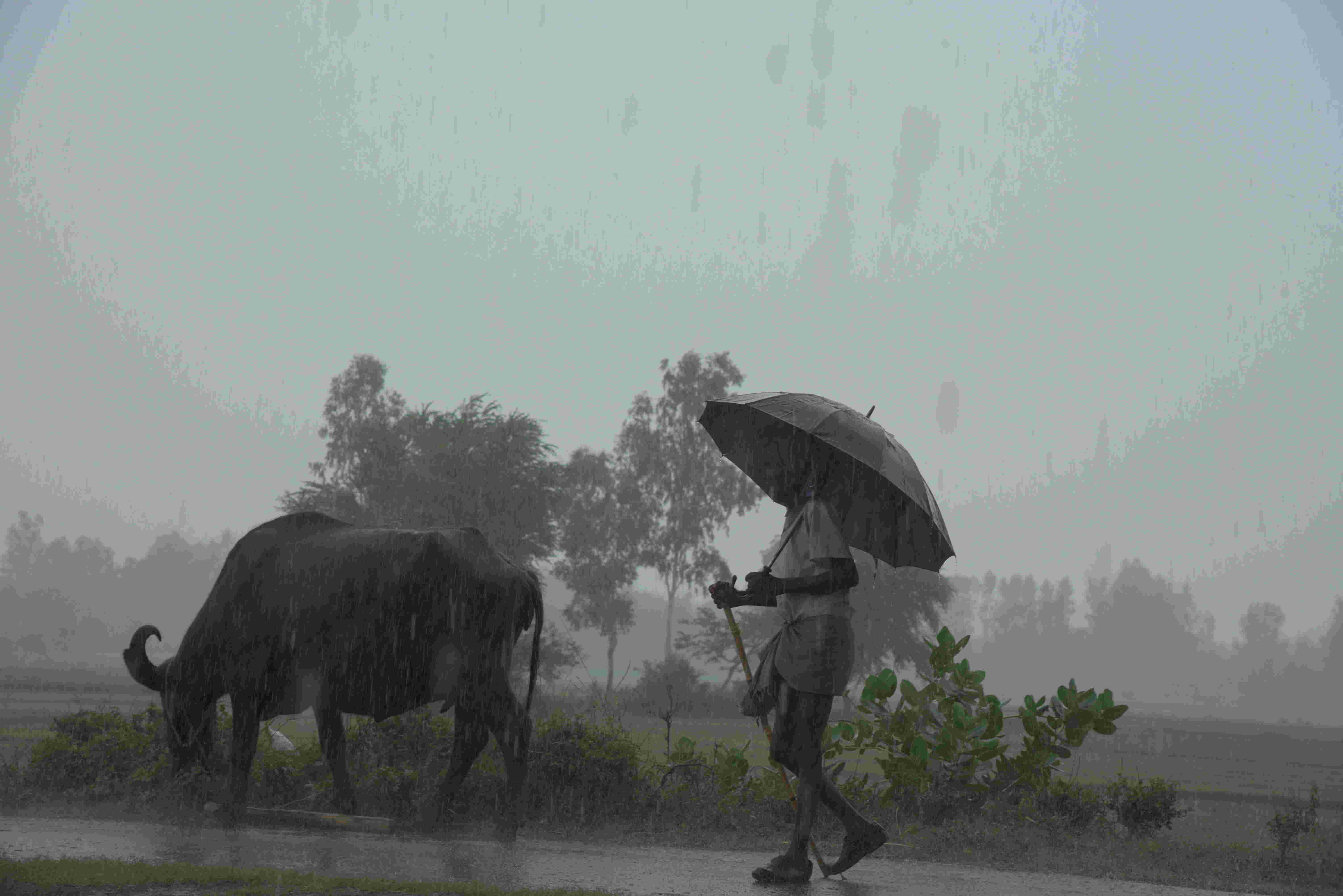 Met departments forecast of a normal monsoon offers little hope