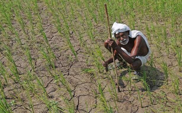 राजस्थान के 15 लाख किसानों को मिलेगा किसान सम्मान निधि योजना का लाभ