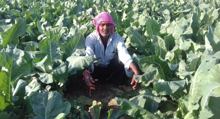 राजस्थान: 15 लाख किसानों को मिलेगा पीएम किसान सम्मान निधि का लाभ