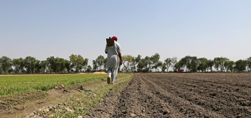 महाराष्ट्र: जीएम बीज बोने पर किसानों के खिलाफ मामला दर्ज, ये है पूरा मामला