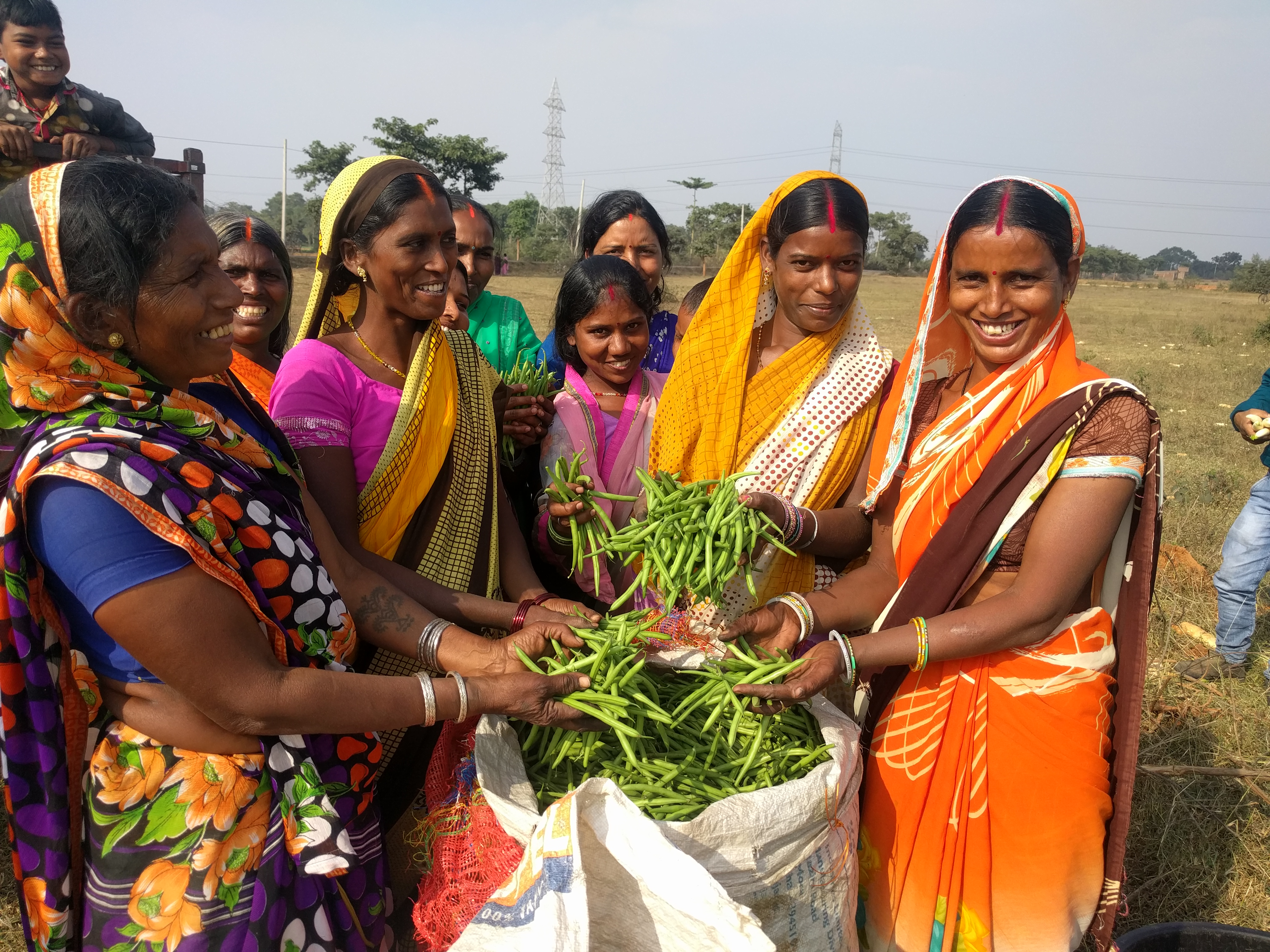 अगर आप छोटी जोत के किसान हैं तो सामूहिक खेती की कला इन महिलाओं से सीखिए
