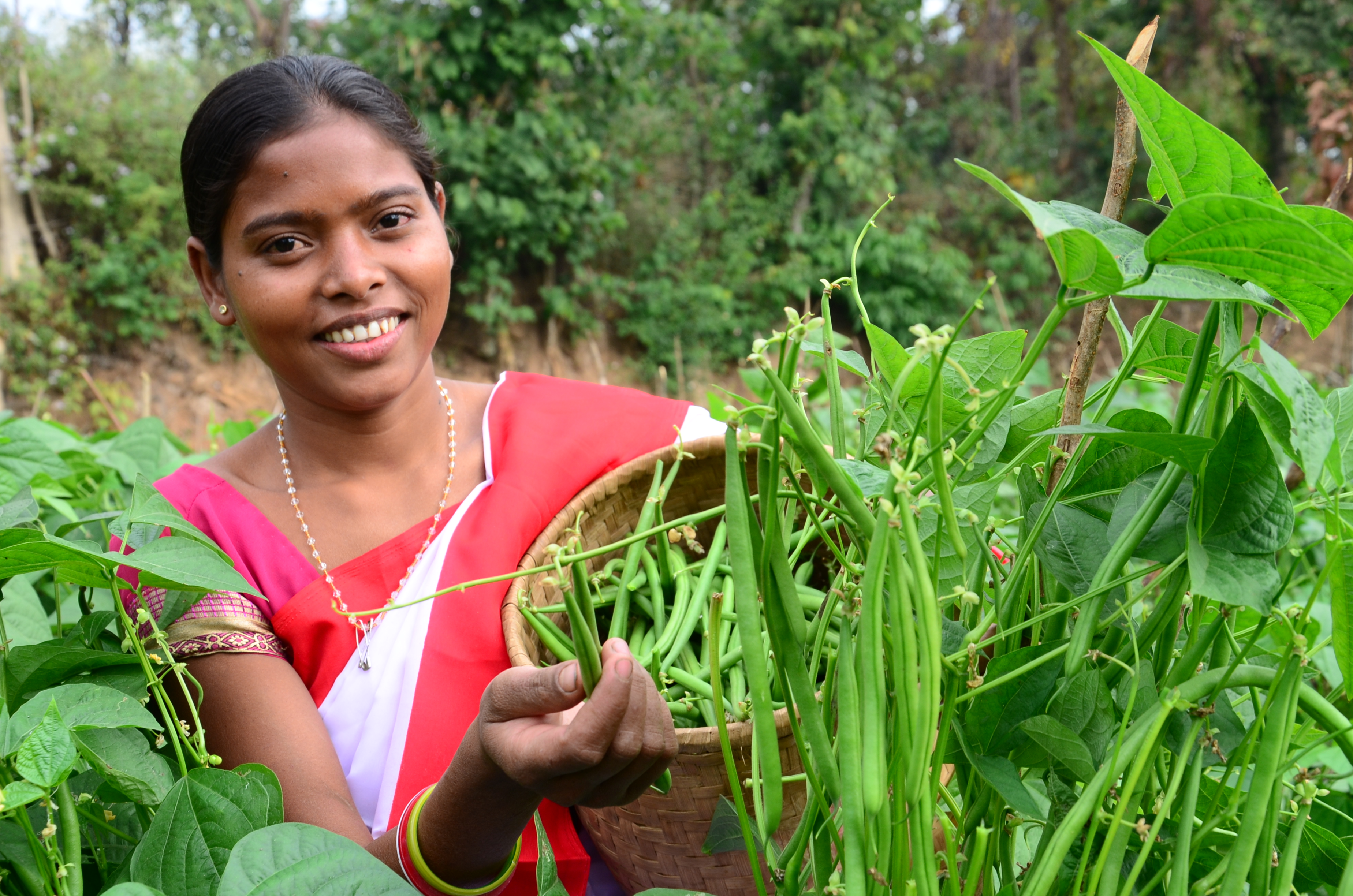 झारखंड: महिलाओं ने मिलकर शुरु की खेती तो छोटे पहाड़ी खेतों में भी उगने लगी मुनाफे की फसल