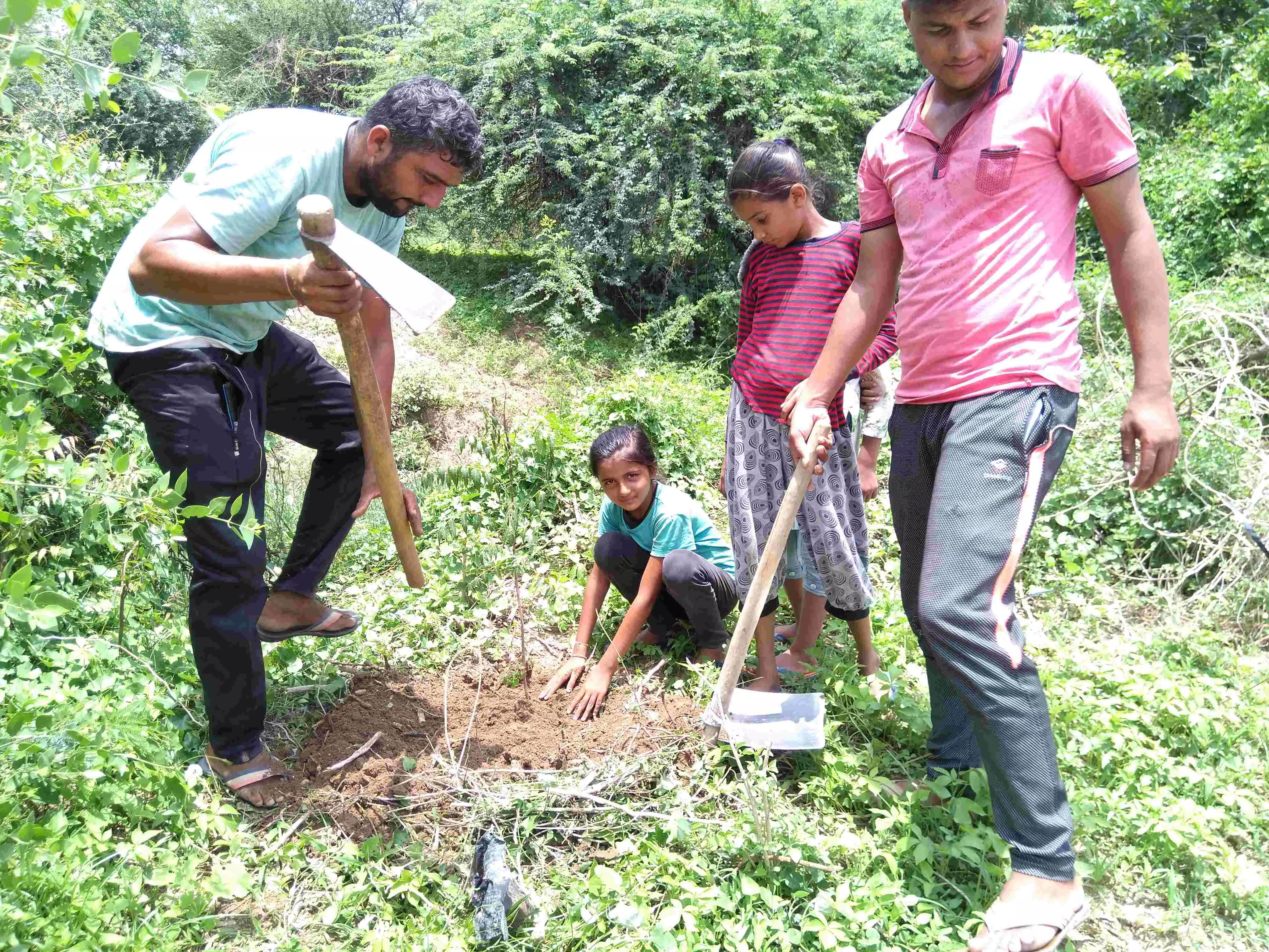 गुजरात: पर्यावरण बचाने के लिए गाँववालों की अनोखी पहल, हर खुशी में लगाते हैं पेड़