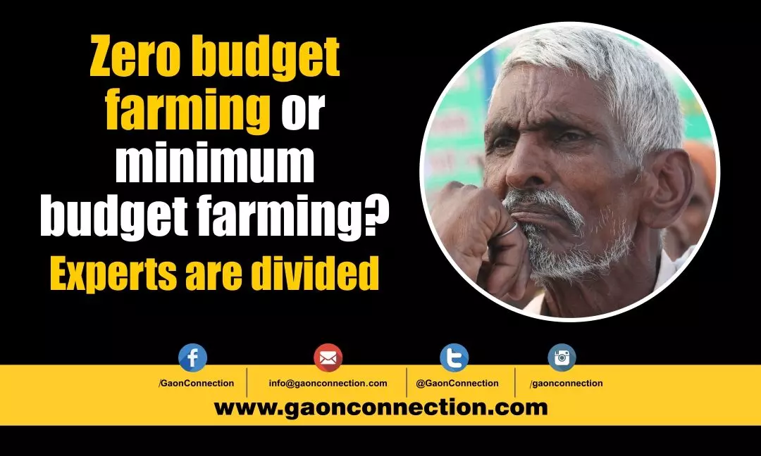 Zero budget farming is a long shot. Need to implement minimum budget farming first: Experts