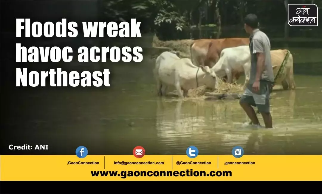 An excess weekly rainfall of up to 250% above normal brings massive floods in the northeast India