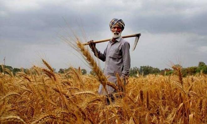 दि‍ल्ली के किसानों को नहीं मिल रहा किसान सम्मान निधि का लाभ: केंद्र सरकार