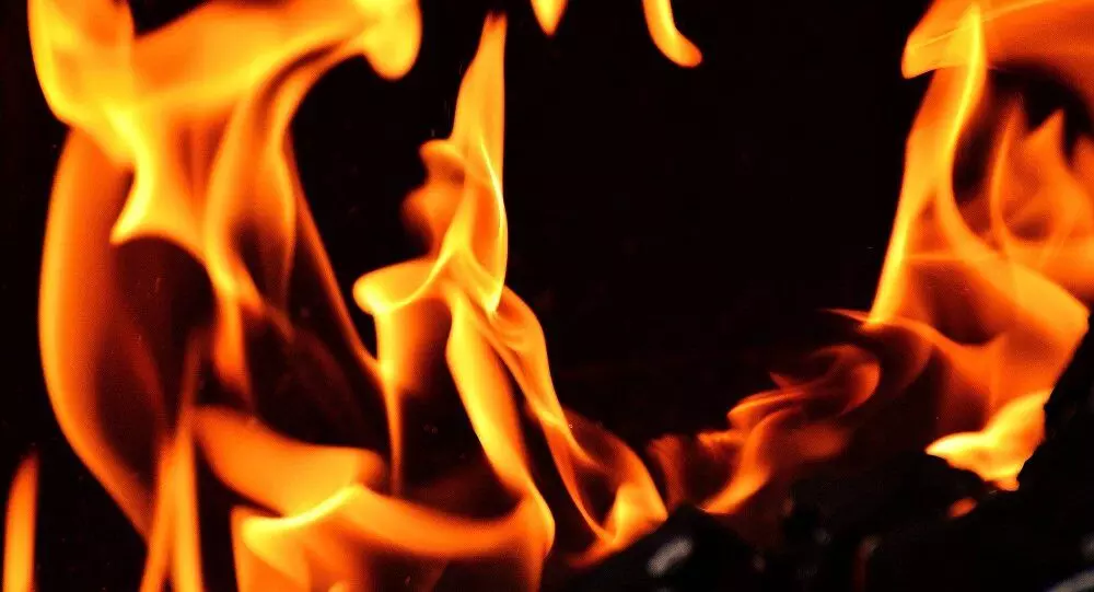 मध्य प्रदेश: गाँव के दबंगों का कहर, जमीनी विवाद पर महिला को जिंदा जलाया