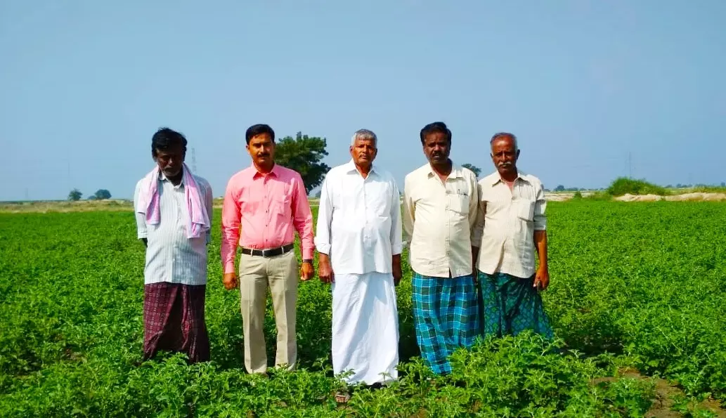 आंध्र प्रदेश के इस प्रगतिशील किसान ने अश्वगंधा की खेती से 200 किसानों की बदली जिंदगी