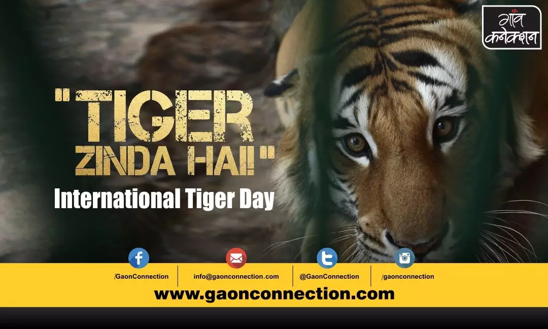 India ROARS on International Tiger Day!