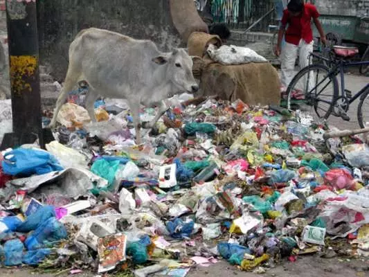 सावधान! भारत में विदेशों से आ रहा है 1,21,000 मीट्रिक टन प्लास्टिक कचरा