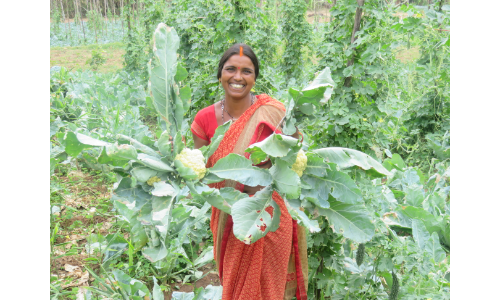 गहने बेचकर महिला ने छुड़ाई गिरवीं रखी जमीन, सब्जियों की खेती से अब सालाना 2 लाख तक की बचत