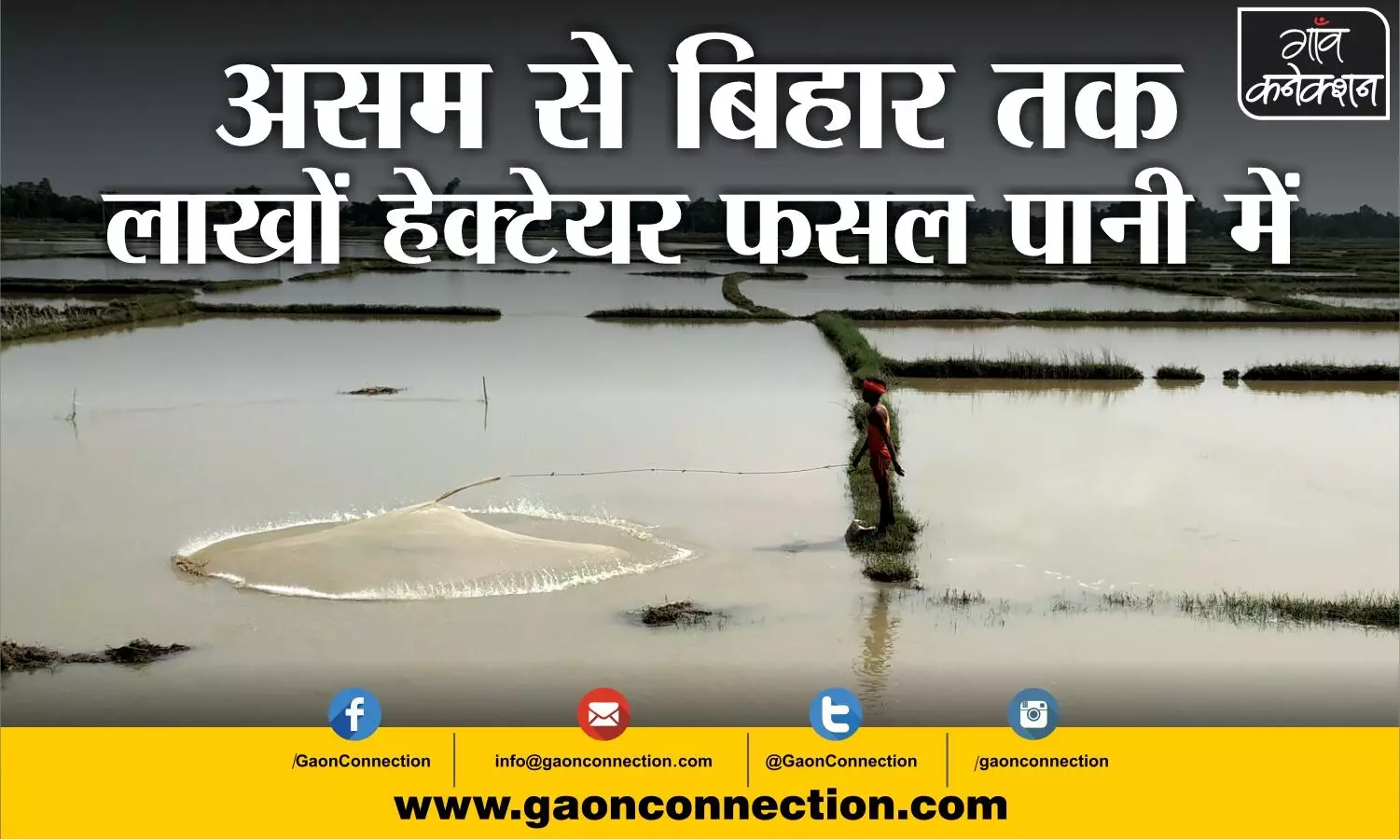 crop damage in bihar flood, crop damage in asam flood, flood in bihar and assam, flood hits farmes in india