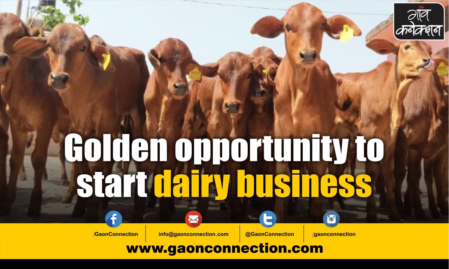 Govt launches Dairy Entrepreneurship Development Scheme