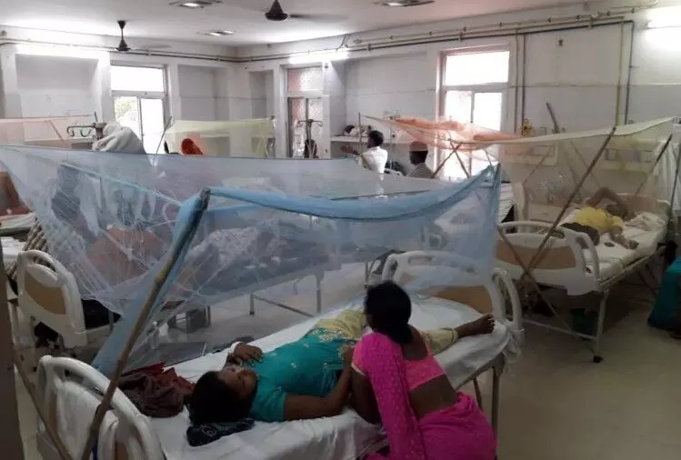 उत्तराखंड: 2800 लोग डेंगू की चपेट में, चार की मौत