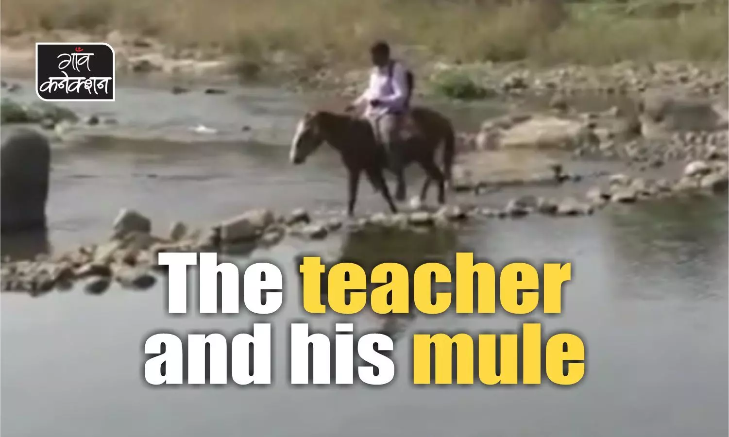 Differently-abled teacher commutes arduously for 14 kms daily upon a mule to his school