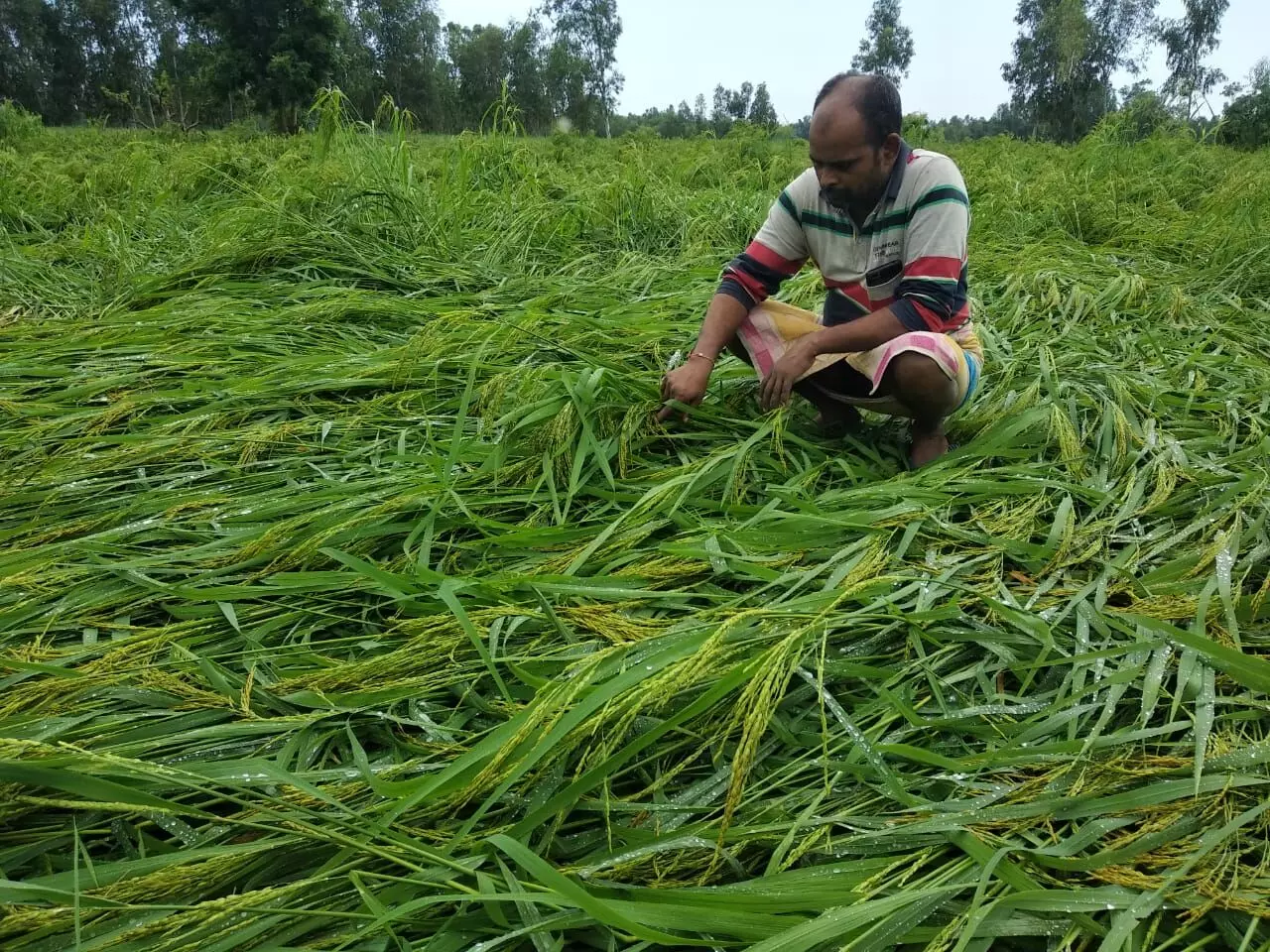 देश भर में भारी बारिश, किसानों को कहीं फायदा कहीं नुकसान
